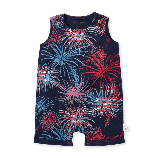 Celebrate America Organic Baby Boy Romper