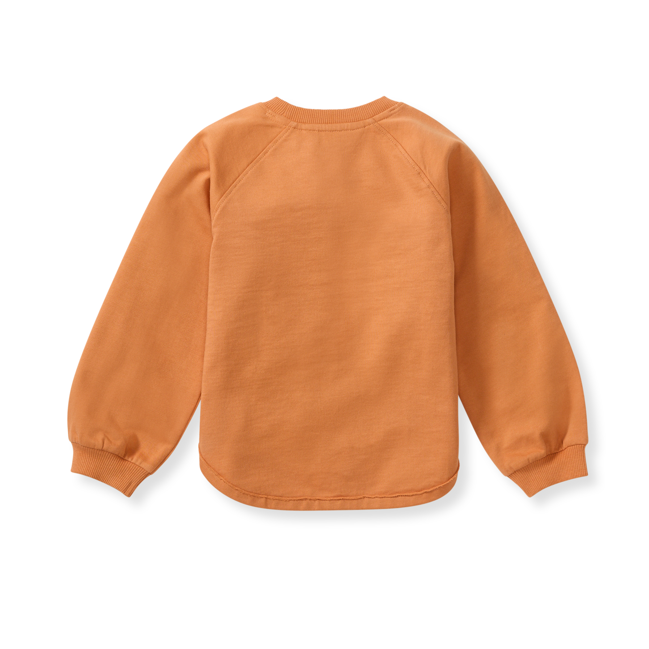 Organic Cotton  Pumpkin Sweatshirt - Caramel Apple
