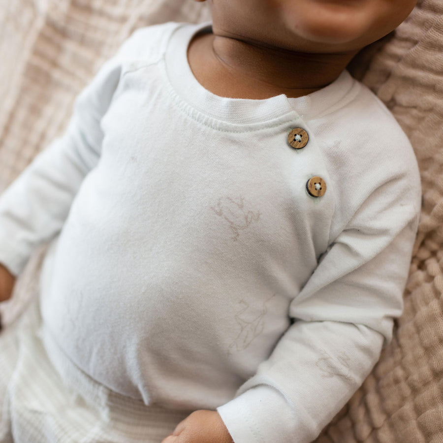 Frog Baby Boy 3 Piece Set