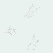 Frog Baby Boy 3 Piece Set