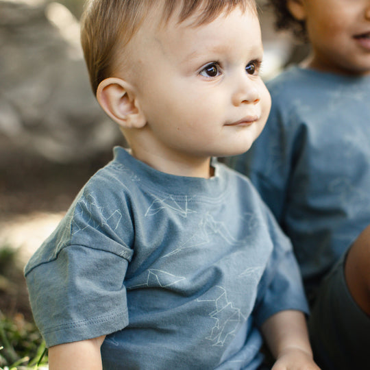 Origami Dinos Boy Tee & Short Set