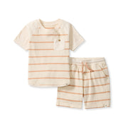 Organic Cotton Basic Stripe Tee & Shorts Set