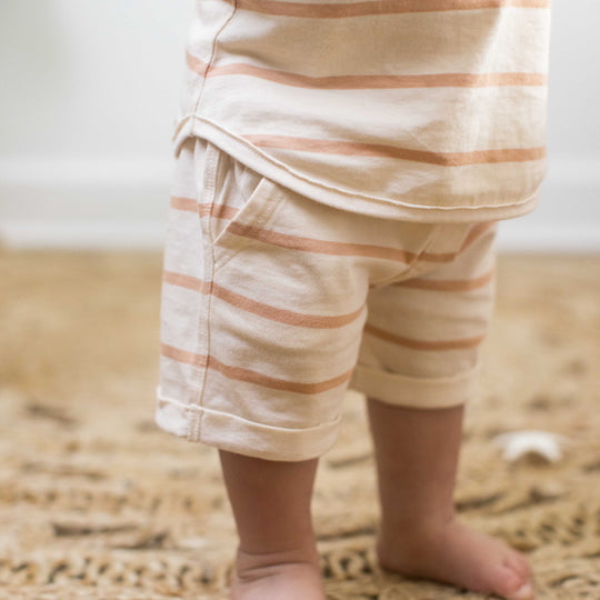 Organic Cotton Basic Stripe Tee & Shorts Set