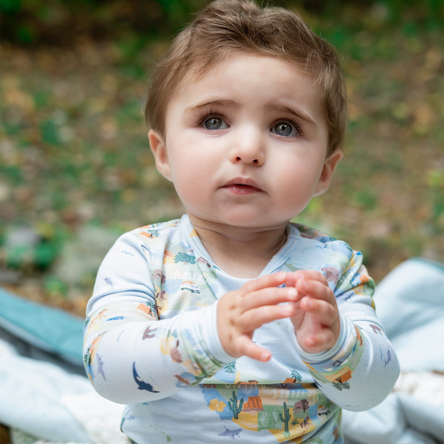 Modal Magnetic Long Sleeve Toddler Pajamas - America the Beautiful