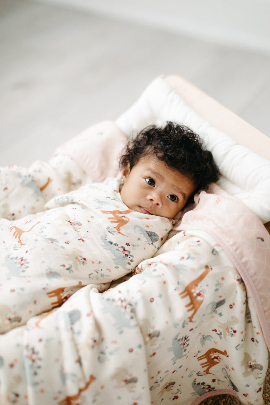 Muslin Swaddle - Baby Dinomite