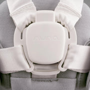 Nuna BRYN Newborn Rocker