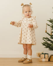 Velour Baby Dress - Holly Berry