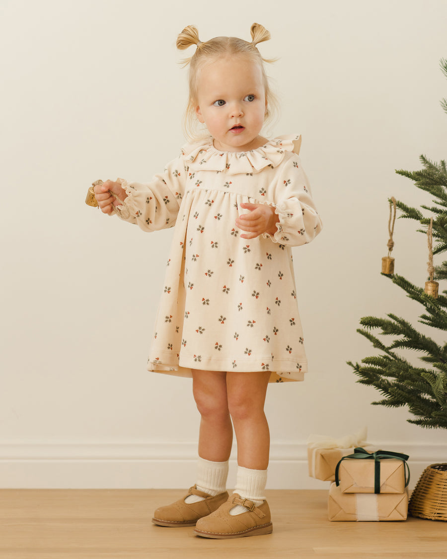 Velour Baby Dress - Holly Berry