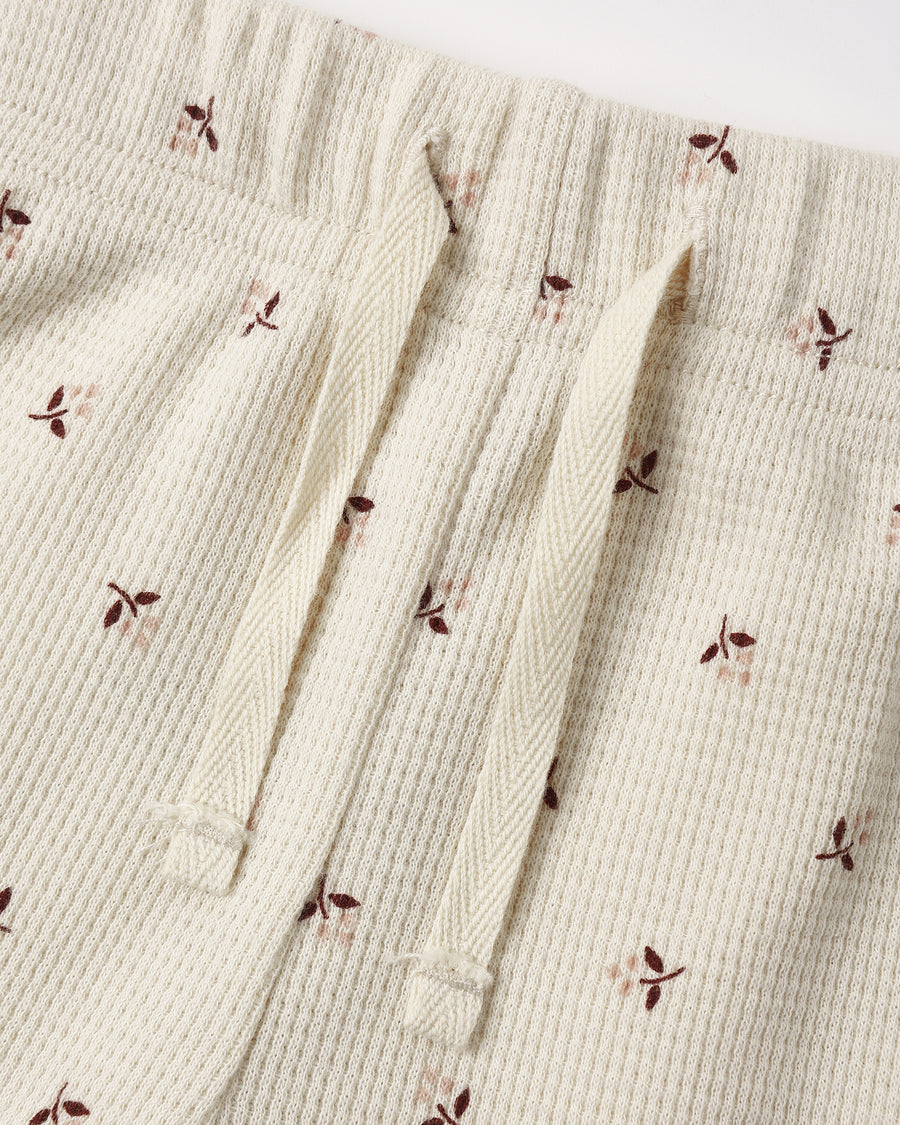 Take Home Set - Fall Ditsy