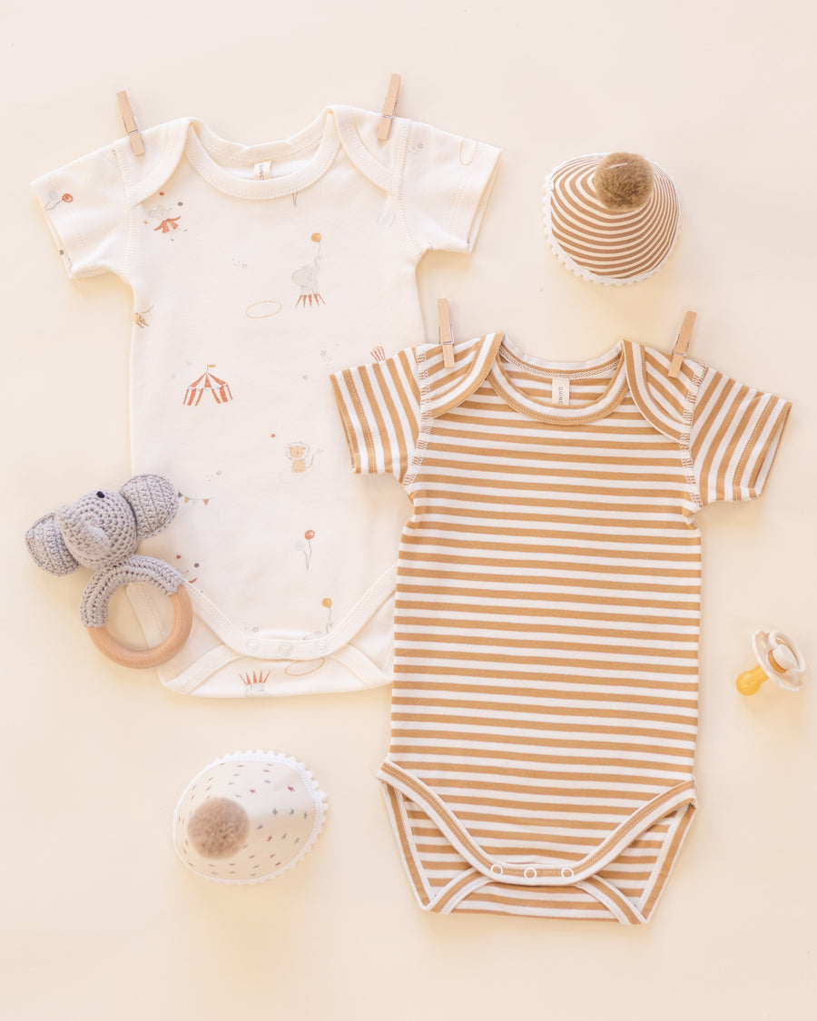 Short Sleeve Bodysuit Pack - Carnival and Honey Stripe