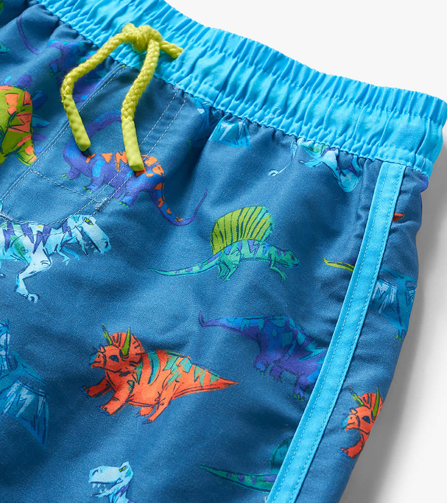 Swim Shorts - Dino Party
