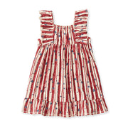 Stars & Stripes Organic Cotton Dress