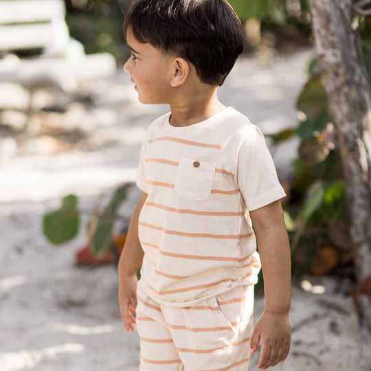 Organic Cotton Basic Stripe Tee & Shorts Set