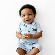 Polo Shortall - Take Off