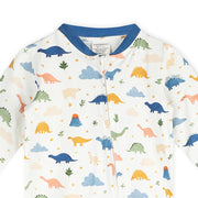 Organic Jersey Dino Baby Footie