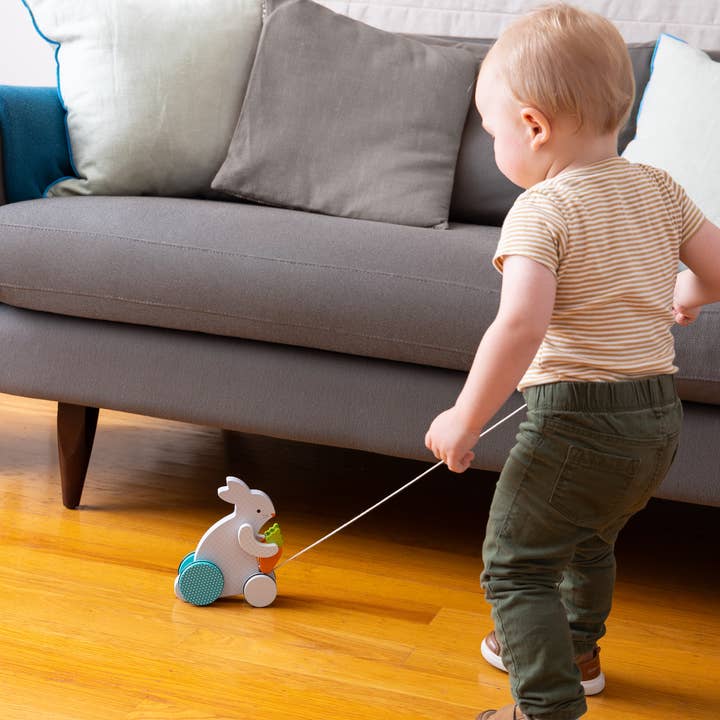 Busy Bunny Wooden Pull Toy