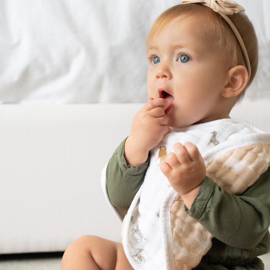 Organic Burpy Bibs (2 Pack) - Safari Dreams