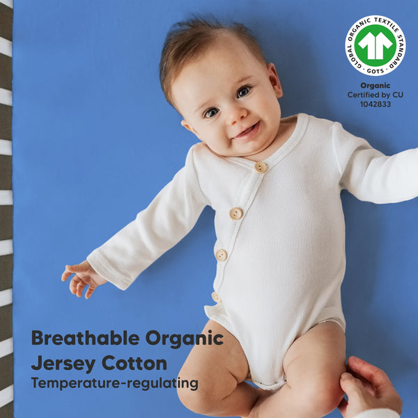 Organic Fitted Crib Sheet Cornflower - Set of 2