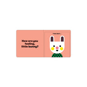 How are You Feeling - A Lift the Flap Book