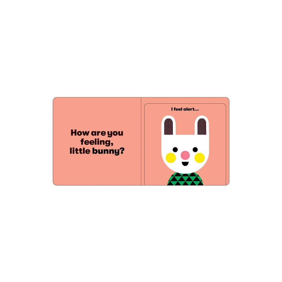 How are You Feeling - A Lift the Flap Book