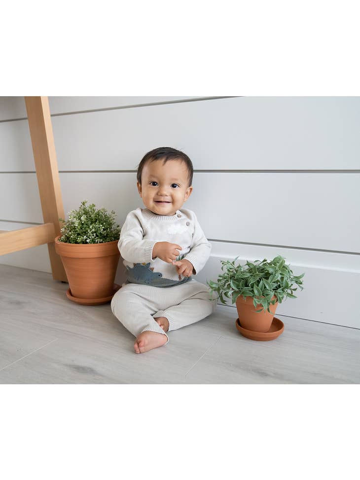 Dino Applique Button Baby Pullover Sweater - Stone