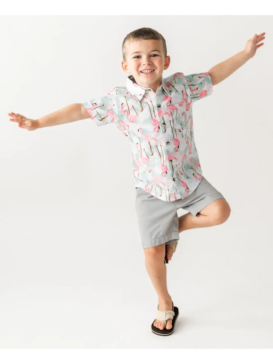 Boys Harbor Gray Chino Shorts