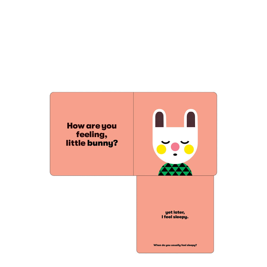 How are You Feeling - A Lift the Flap Book
