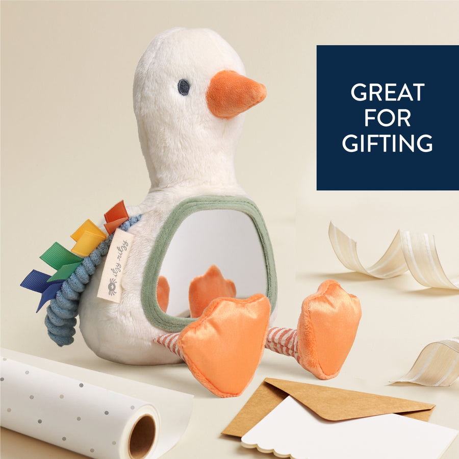 Itzy Bitzy Sensory Tummy Time Mirror - Goose