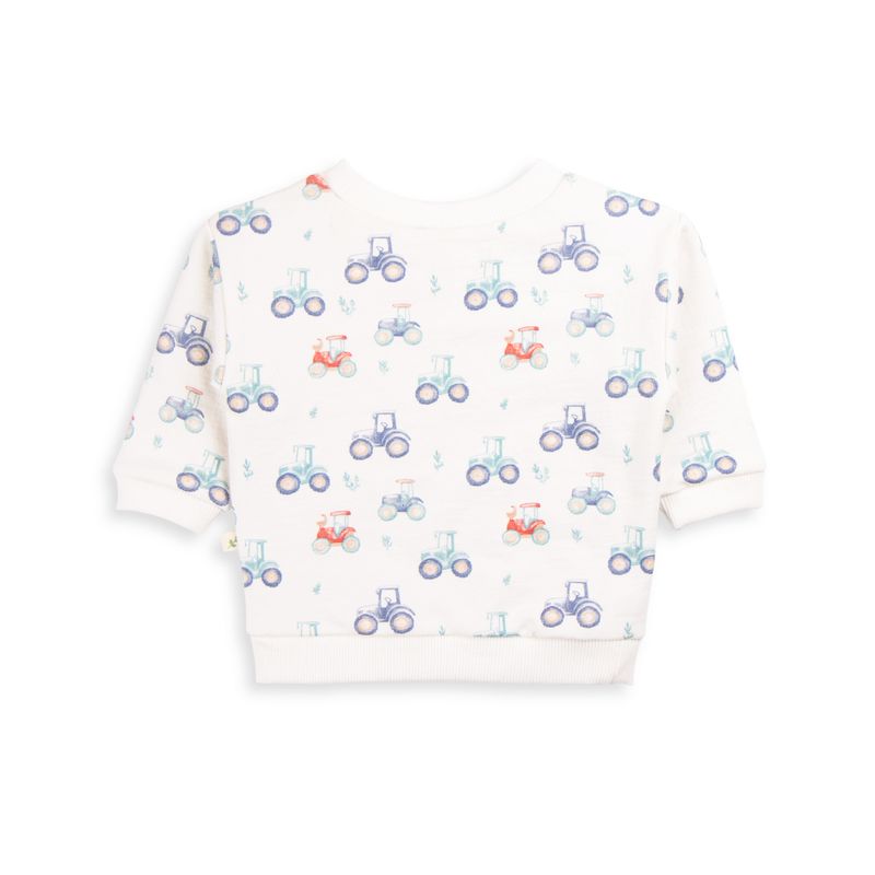 Organic Cotton French Terry Sweat Shirt - Harvest Time