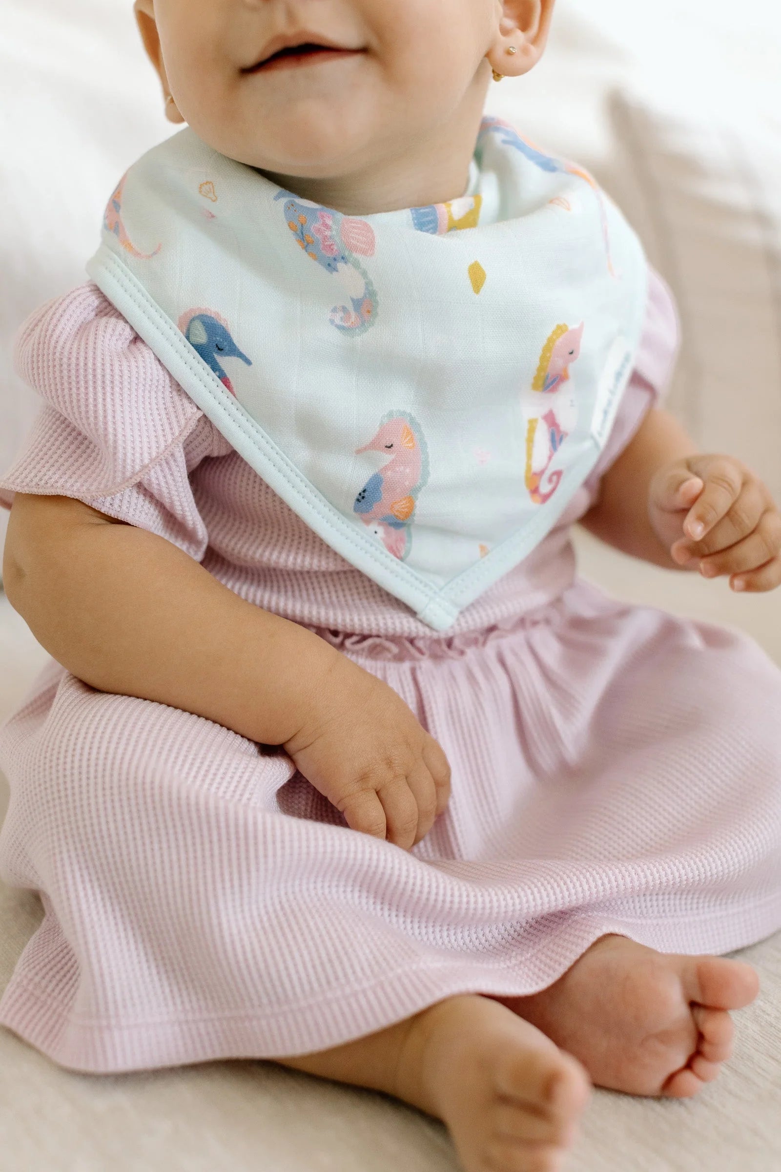 Luxe Muslin Bandana Bib Set - Painterly Seahorse