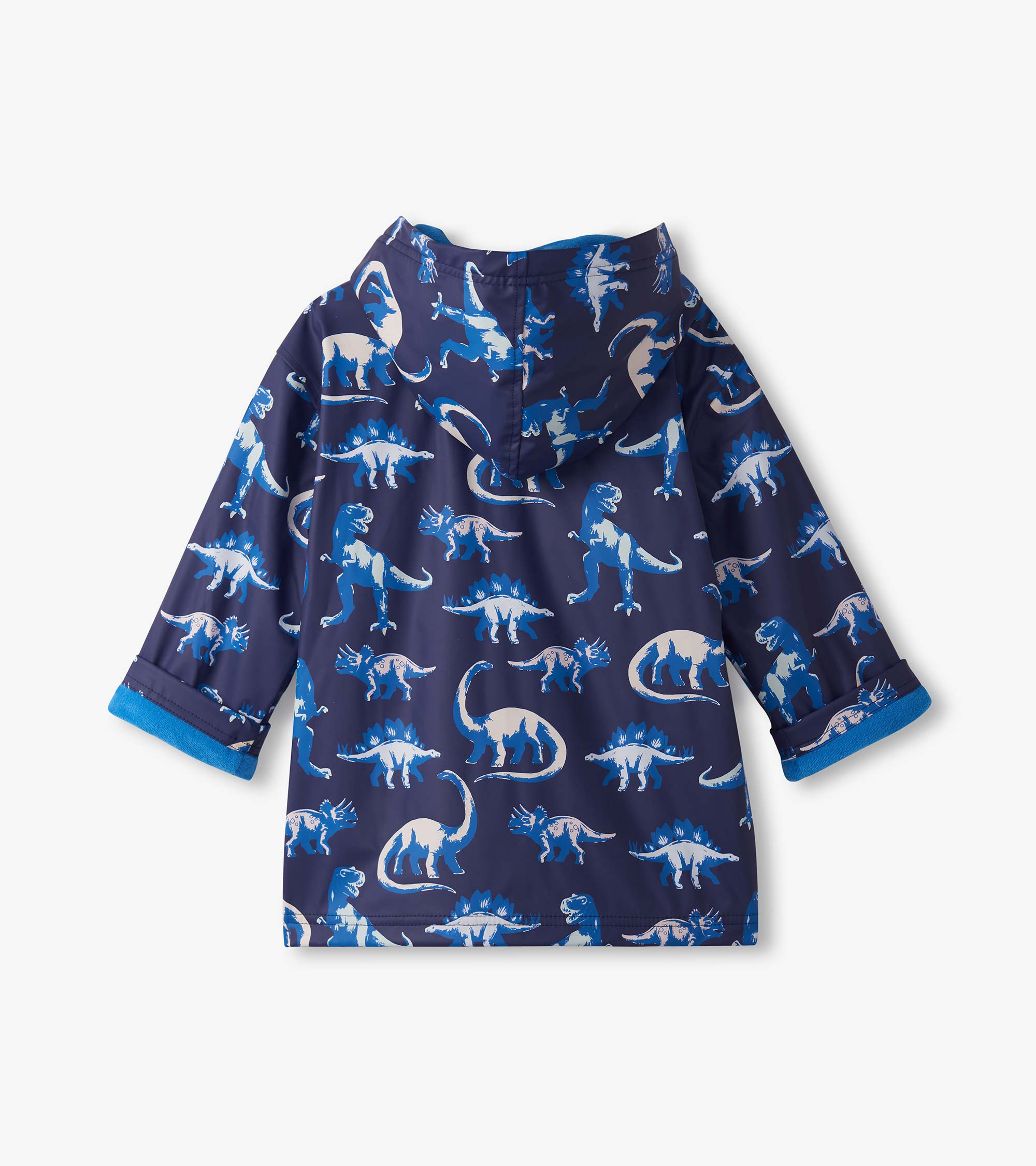 Color Changing Rain Jacket - Painted Dino