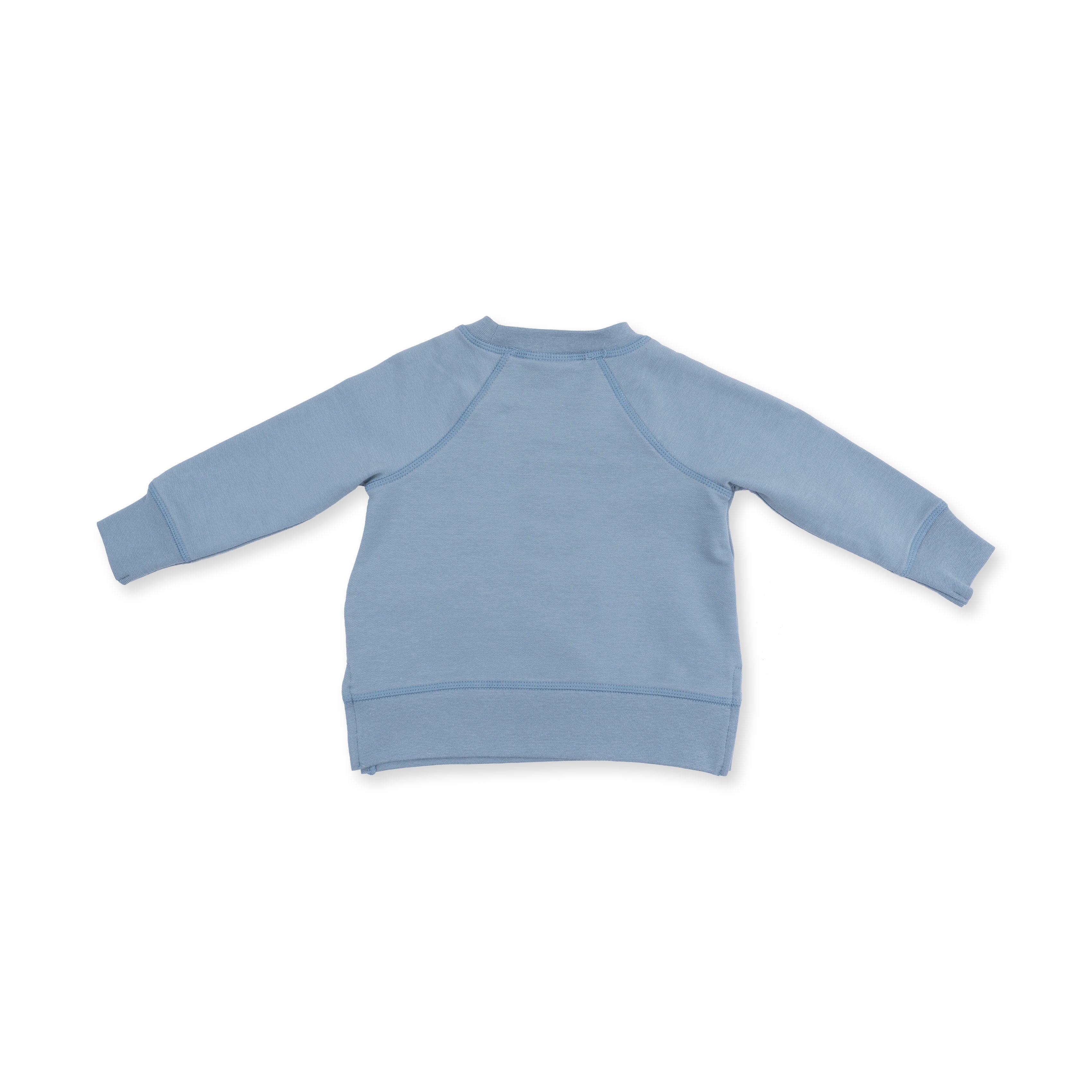 Raglan Sweatshirt - Horse Head