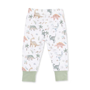 Long Sleeve Bamboo Loungewear Set - Sweet Baby Dinos