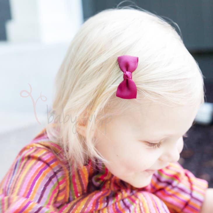 Diya Ribbon Snap Clip Set Of 10 - Various Colors