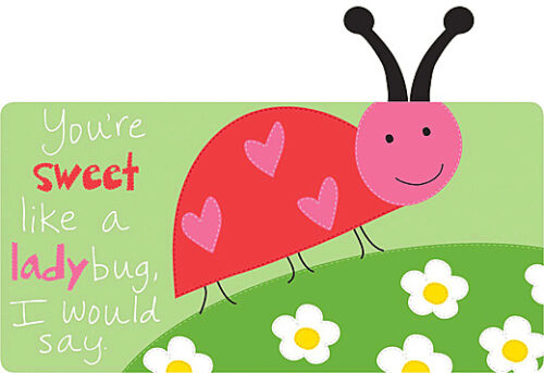 Beecause I Love You