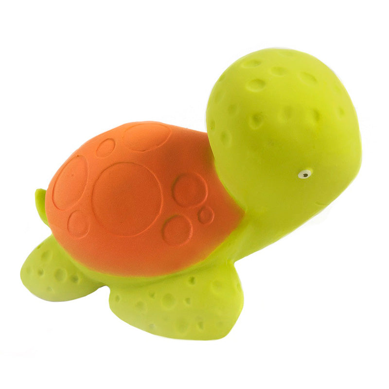 Mele the Sea Turtle