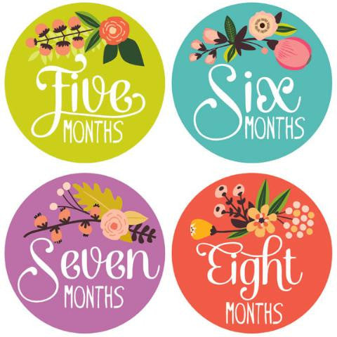 Little Artist Monthly Stickers