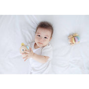 Peek-a-boo Roller - Pastel