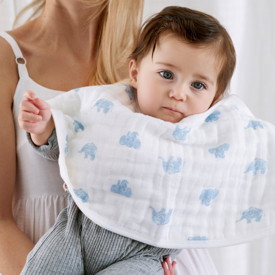 Organic Burpy Bibs (2 Pack) - Animal Kingdom