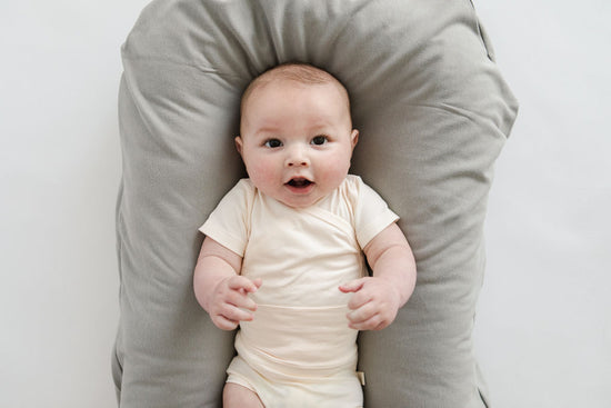 Snuggle Me Infant Lounger Cover - Various Colors