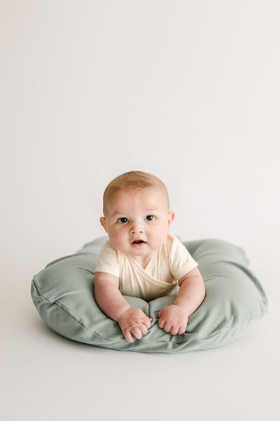 Snuggle Me Infant Lounger Cover - Various Colors