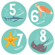 Snorkeling Adventure Monthly Stickers