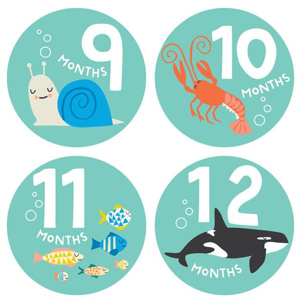 Snorkeling Adventure Monthly Stickers