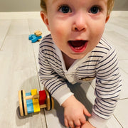 Click N Roll Push Toy