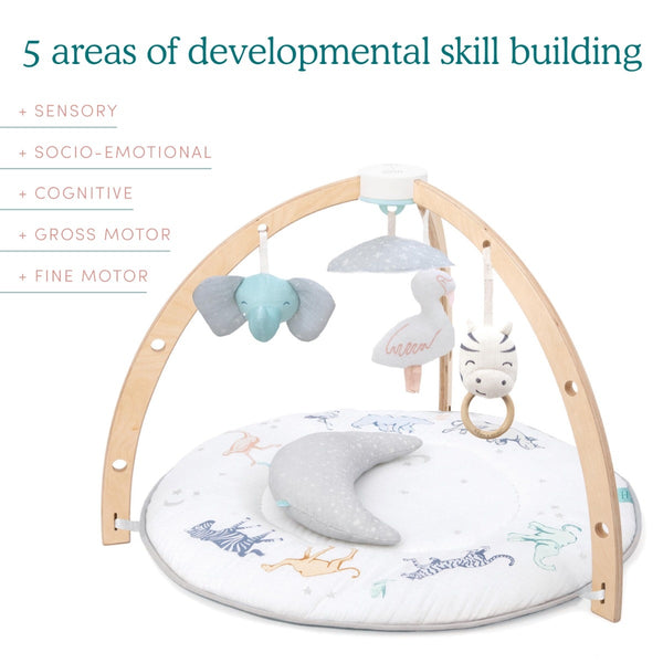 Rising Star Play + Discover Activity Gym