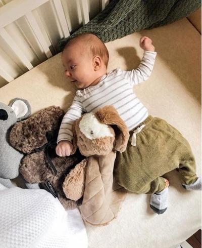 Baby Comforter Lovey Toy - Duke Dog