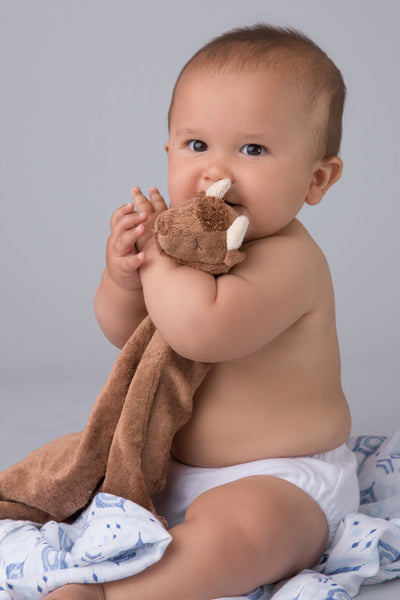 Lovie Blankie - Bison