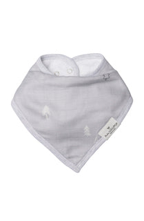 Luxe Muslin Bandana Bib Set - Dinosaurs