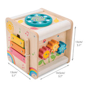 Petit Activity Cube