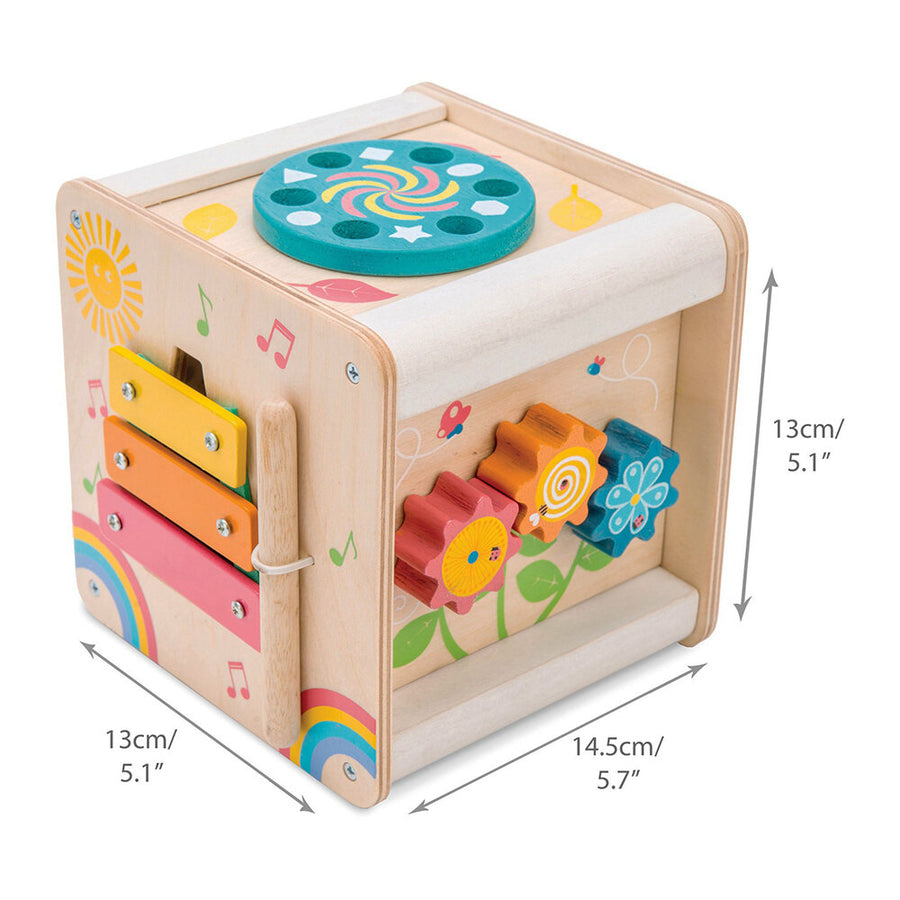 Petit Activity Cube